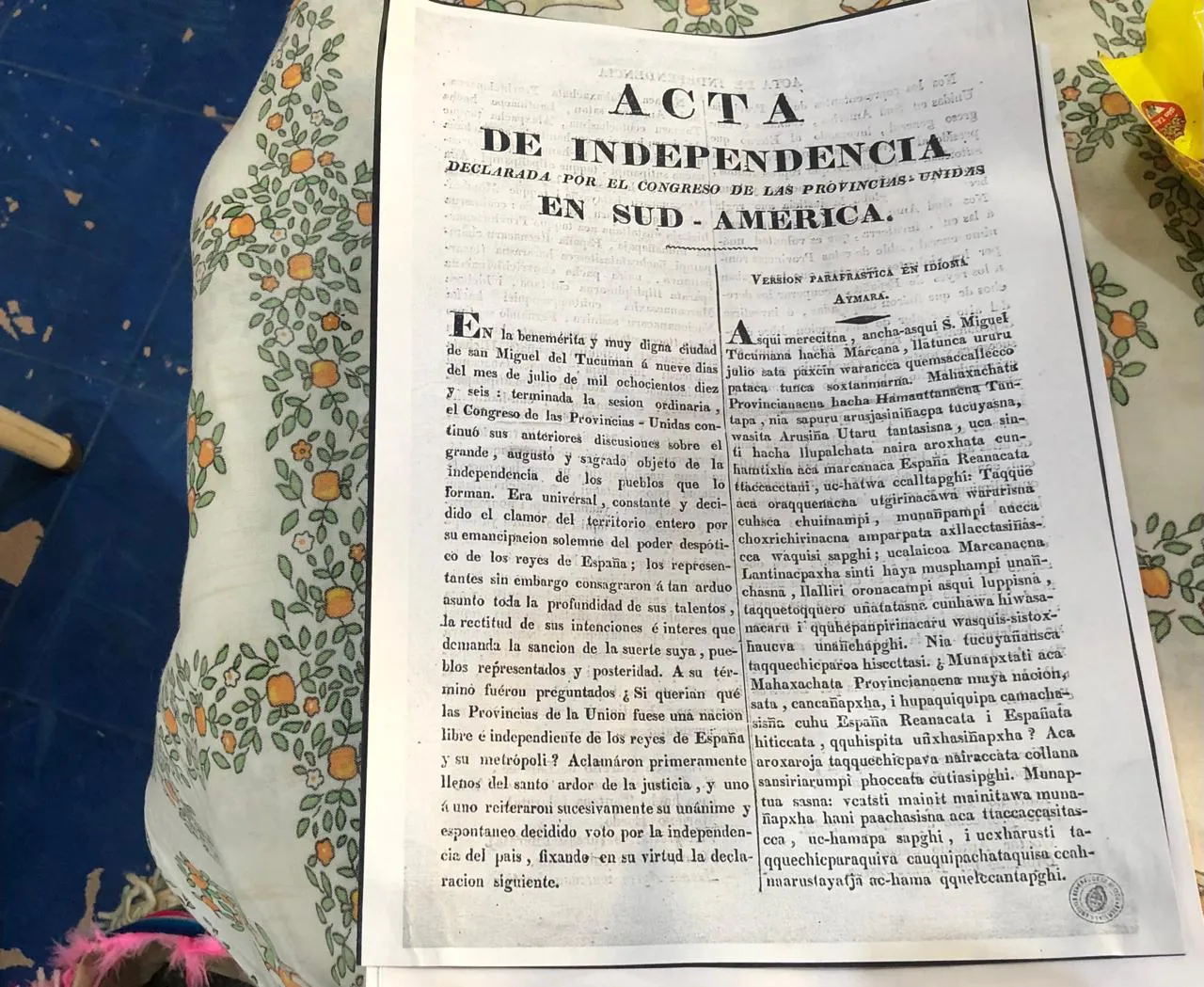 WhatsApp Image 2025-04-27 at 17.39.15