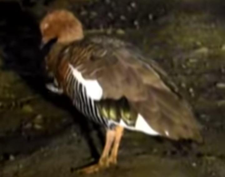 Screenshot_20230422-185917_Facebook