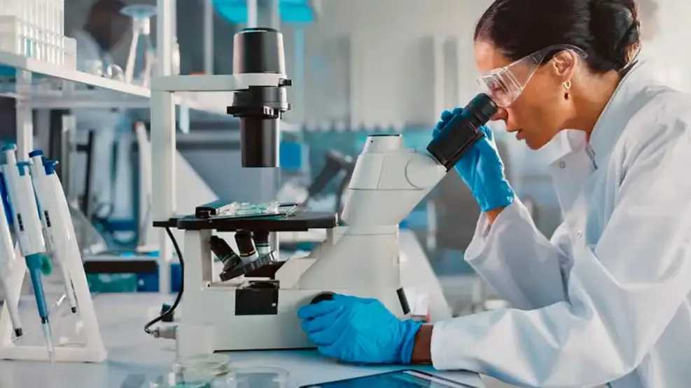 150225cienciatecnologiashutterstockg-1967821