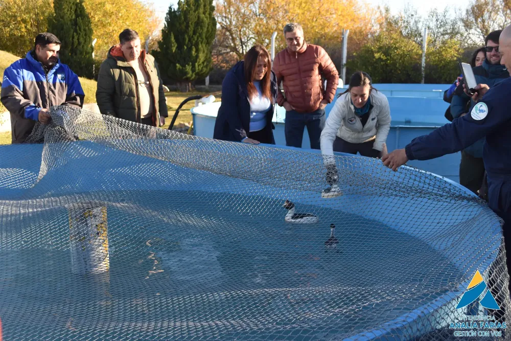 497930209_122218307840146831_4553949234465094371_n