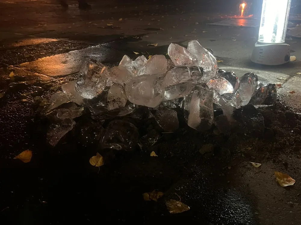 WhatsApp Image 2026-04-09 at 09.05.45