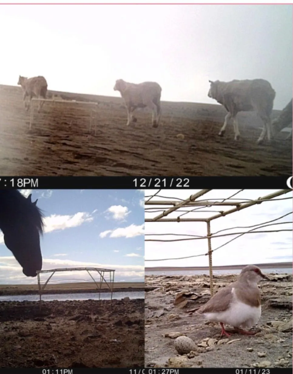 WhatsApp Image 2025-09-18 at 14.31.12(1)