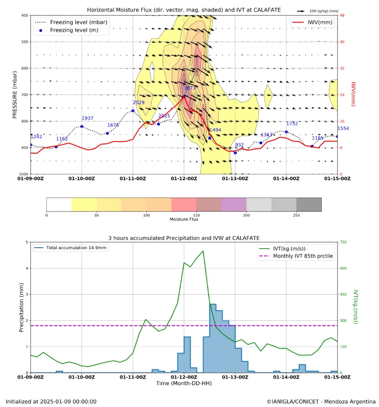 Captura de pantalla 2025-01-09 151406