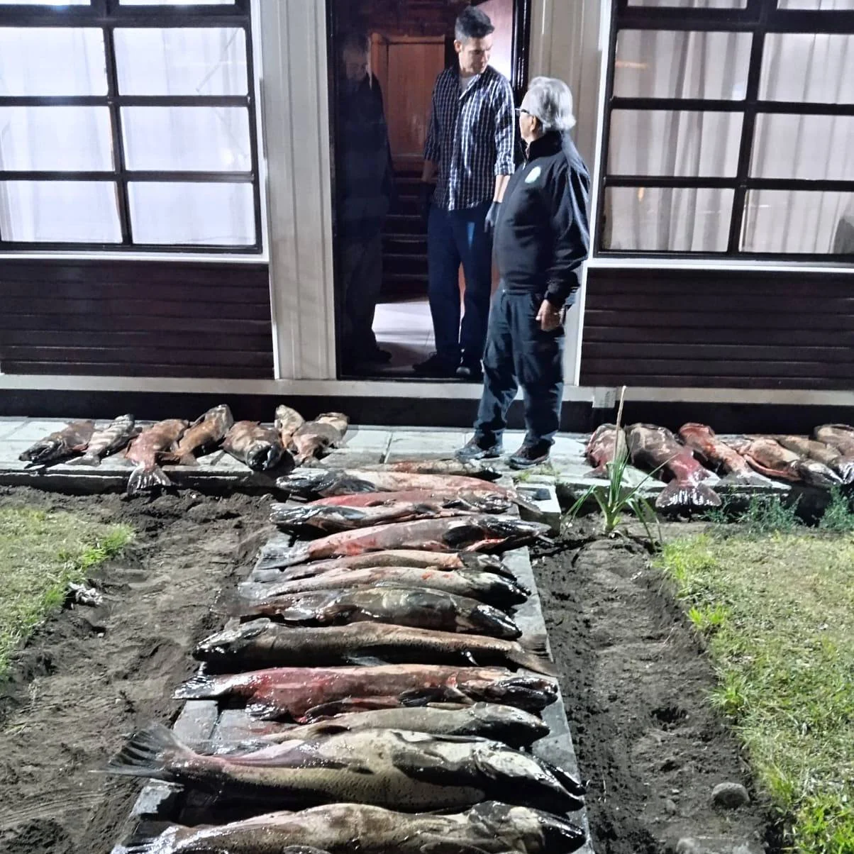 652268334_1385168143627733_5629604282635460512_n