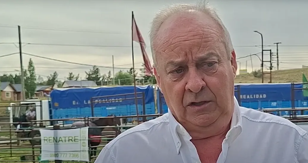 Captura de pantalla 2025-12-01 221258