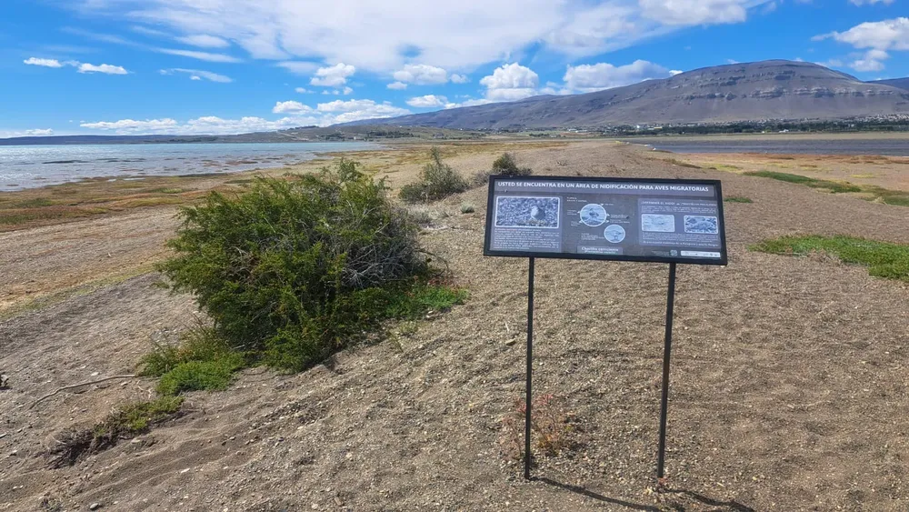 WhatsApp Image 2025-12-16 at 12.25.21