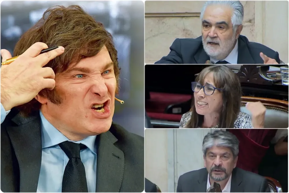 miley diputados santa cruz