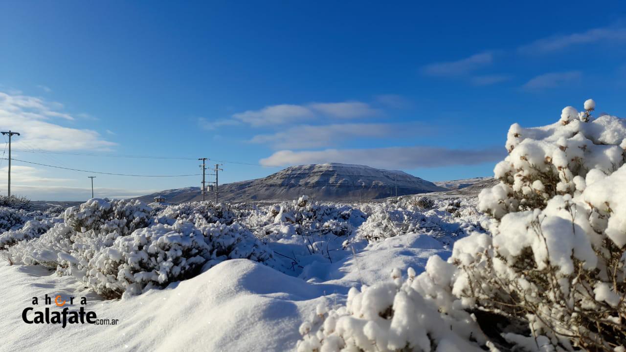 calafate nevado [AUDIO FMD]