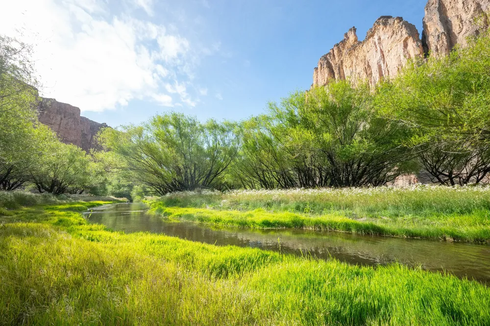 Rio pinturas - portal Cañadón pinturas - Marzo 2024 - Horacio Barbieri_-5~1