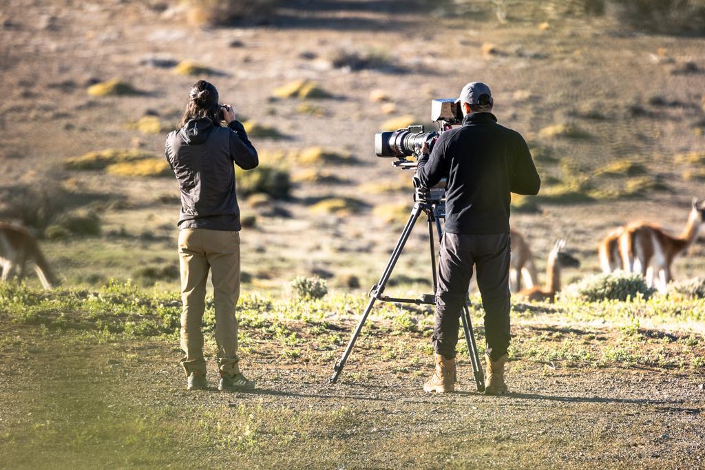 WhatsApp Image 2022-11-24 at 12.17.06