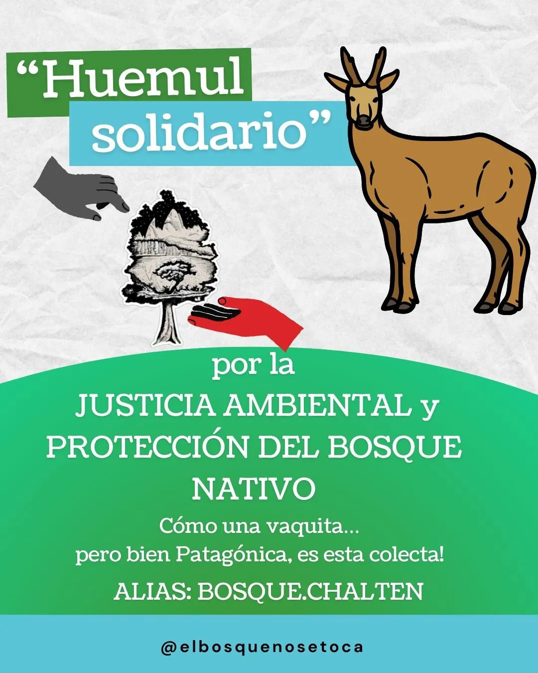 Colecta por amparo cHalten