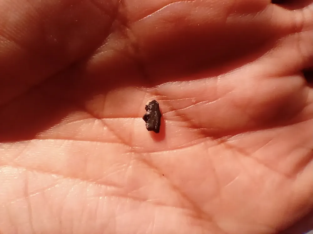 76594459-989B-481E-B3E2-D08260257EC6