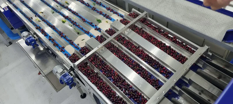 cereza Los Antiguos2