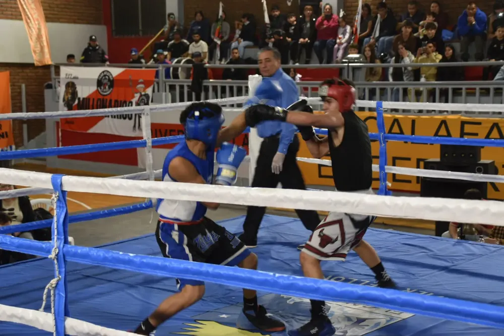 Imagen de WhatsApp 2025-05-11 a las 11.43.43_c8aa1e2b