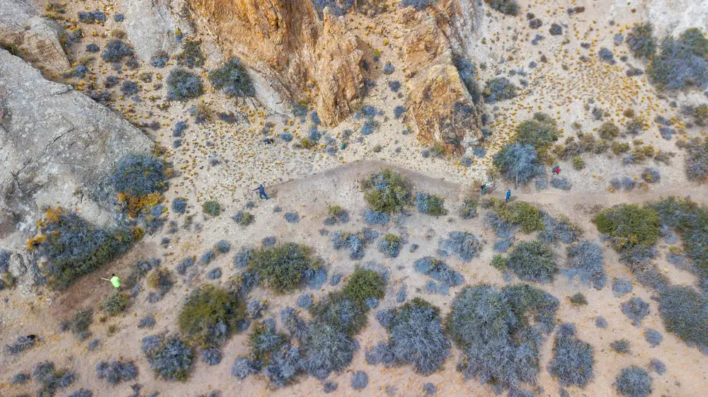 Imagen de WhatsApp 2025-01-15 a las 14.44.38_6ca413d9~1