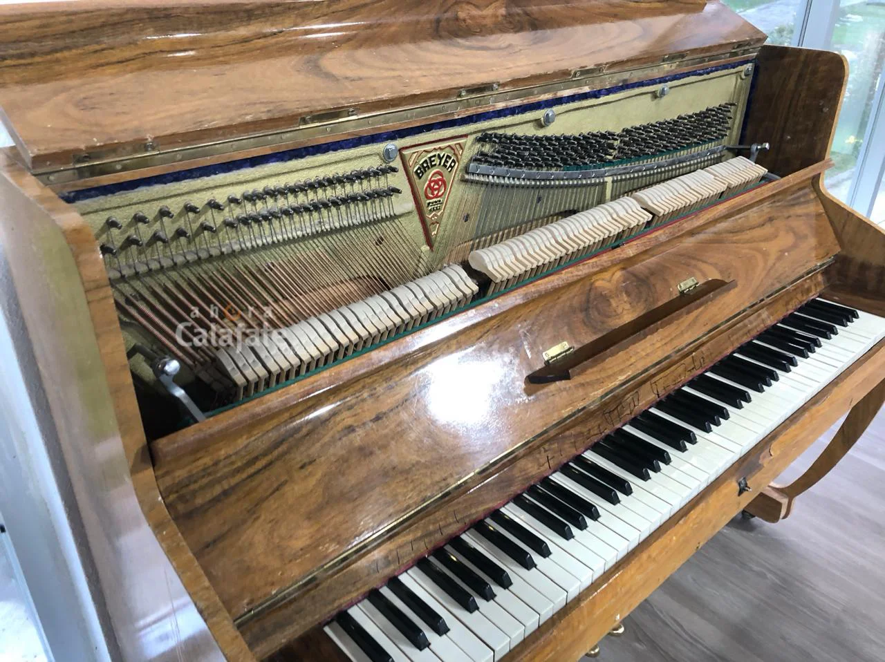 WhatsApp Image 2026-03-29 at 22.16.32