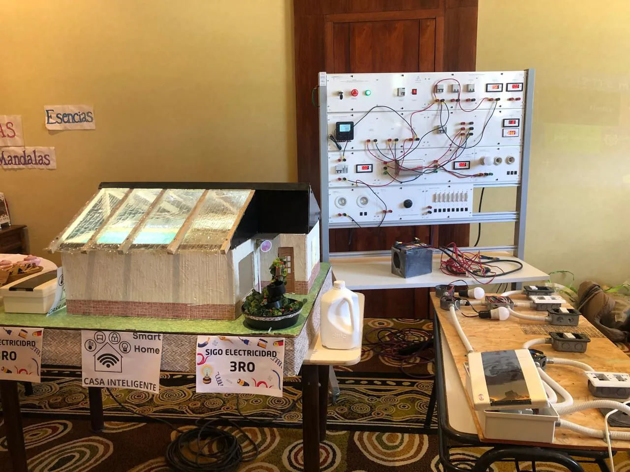 WhatsApp Image 2024-11-16 at 21.47.25