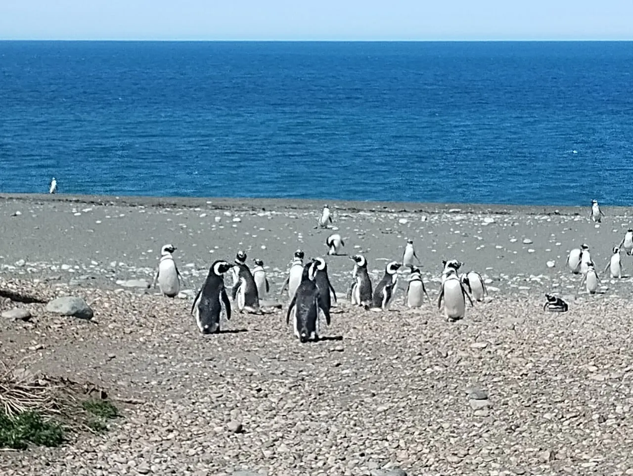 492436079_122228870996218828_1325367284163232658_n