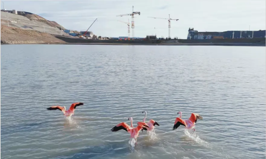 Represas Santa Cruz.jpg 1