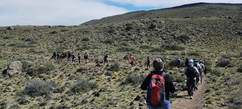 Imagen de WhatsApp 2024-11-08 a las 14.52.53_d9f88bfd