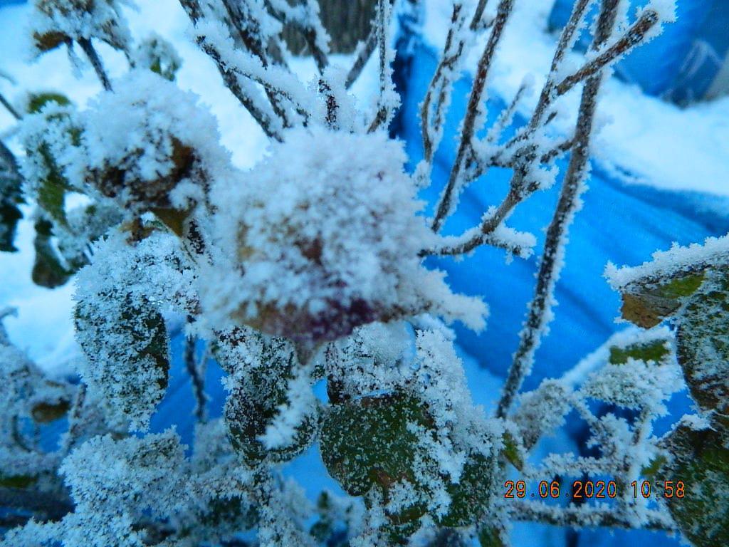 La Esperanza Helada 9