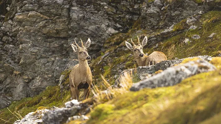 file_20250707130642 (1)