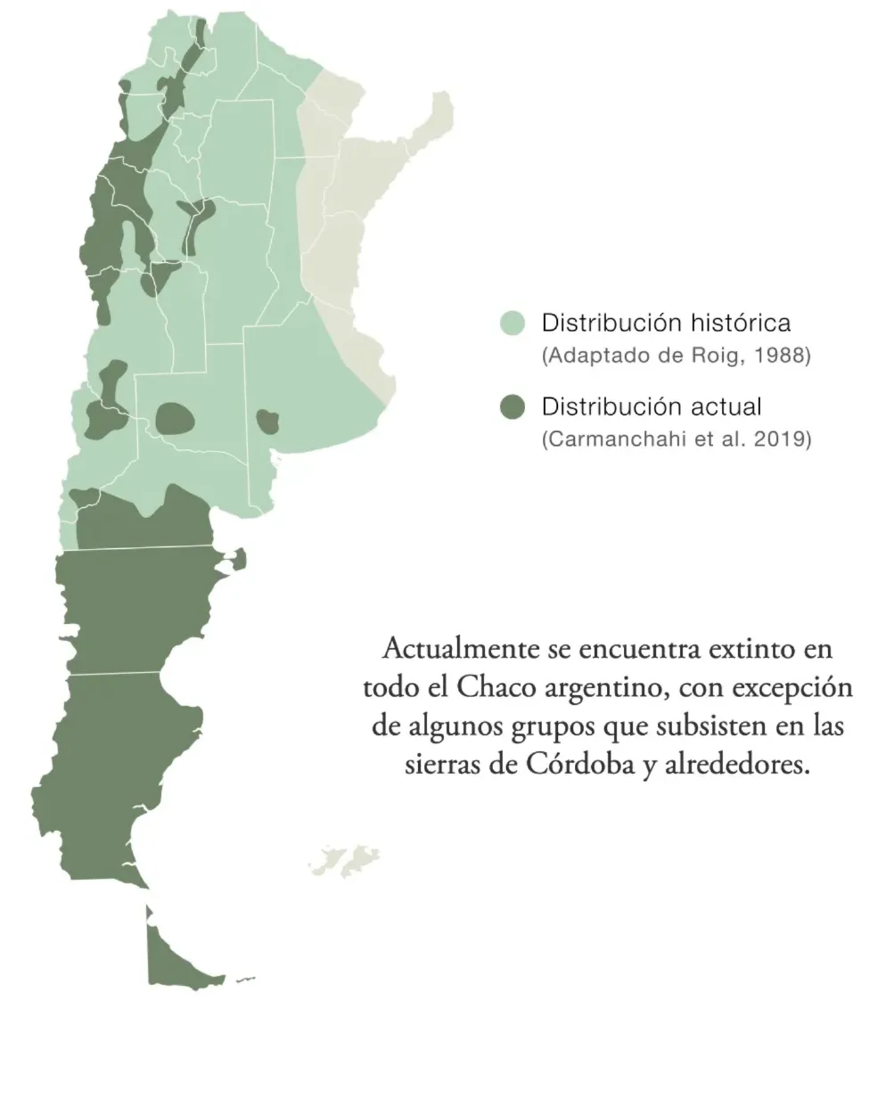 588735609_18419621839186407_7706867462187190860_n