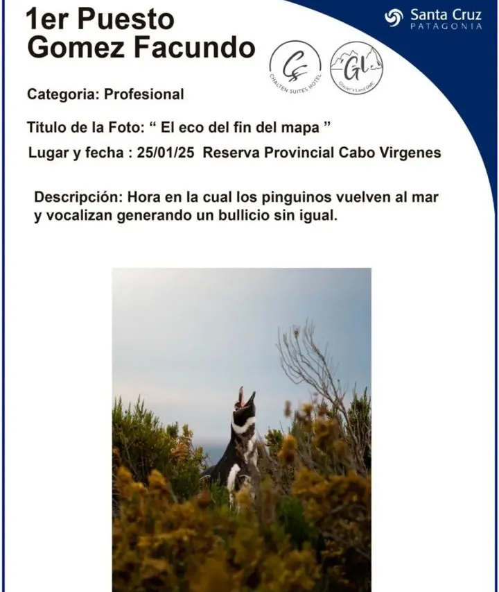 WhatsApp Image 2025-04-28 at 13.51.37