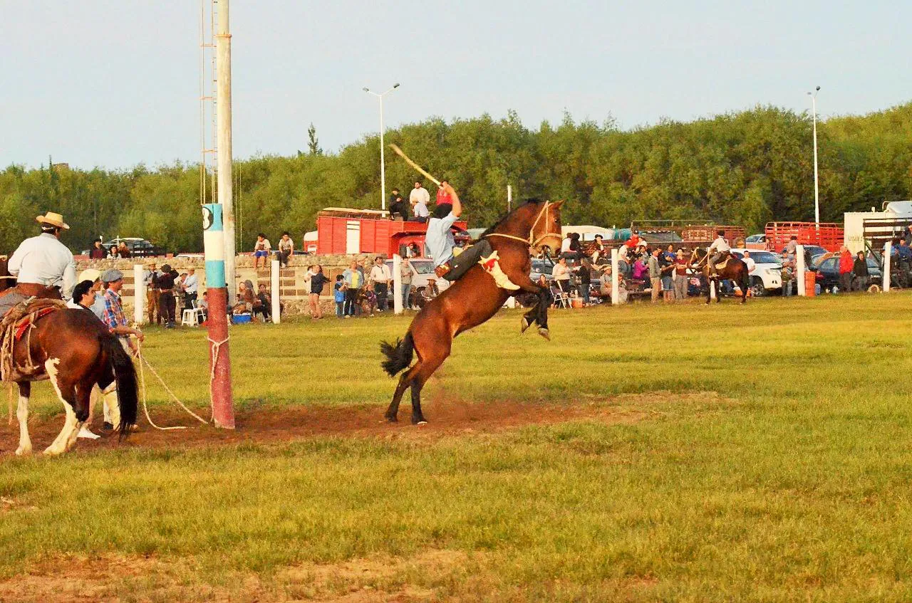 multimedia.normal.9e2d1891277790ab.646f6d615f6e6f726d616c2e6a7067