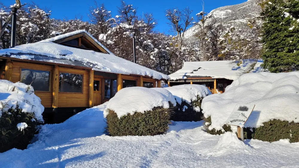 WhatsApp Image 2026-03-04 at 11.21.03