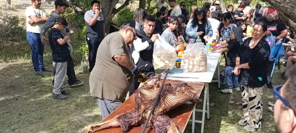 WhatsApp Image 2025-12-10 at 17.14.37 (1)