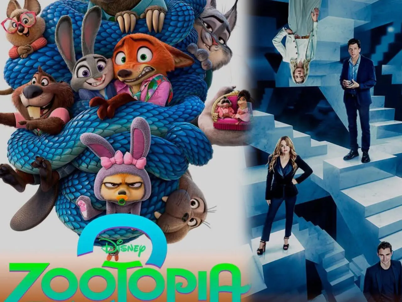 WhatsApp Image 2025-11-26 at 13.01.05