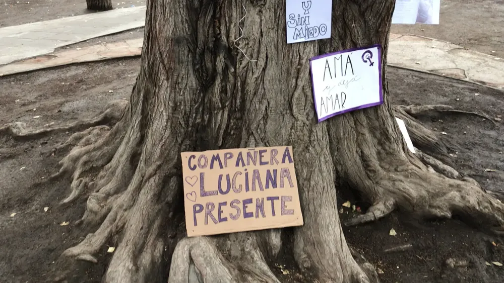 3B85FB8B-A163-4C7F-B5DC-052381DA3ED2