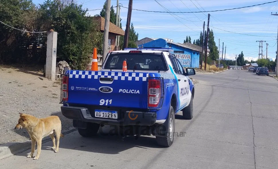 WhatsApp Image 2026-03-05 at 18.12.24