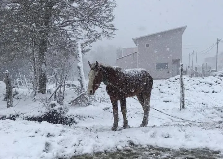 WhatsApp Image 2024-06-21 at 23.14.35