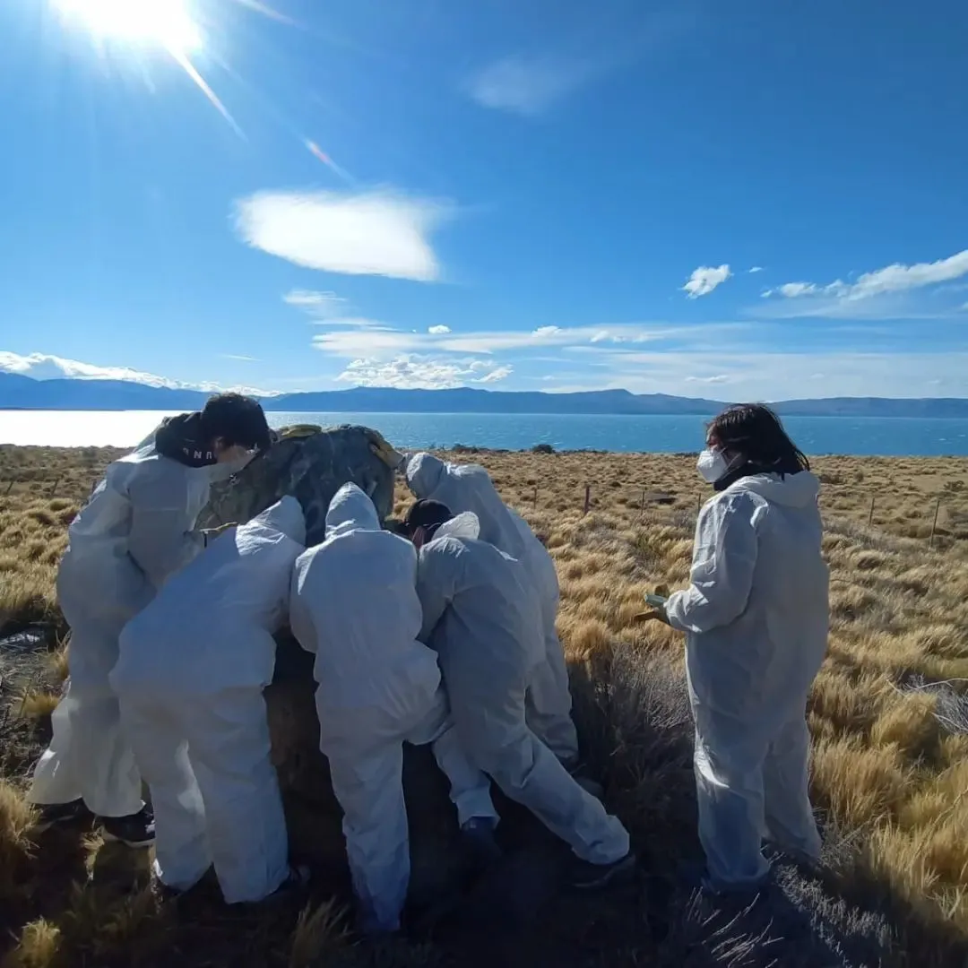 Los Guardianes del Paisaje Patagónico 6
