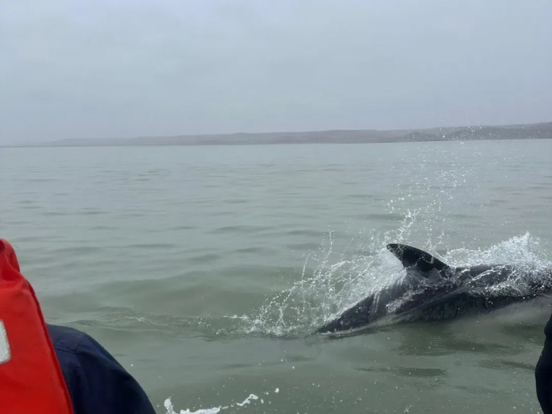 518406234_1171983484966867_8305479731387553219_n