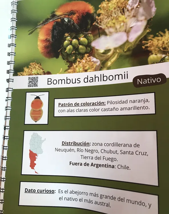 B670729C-616B-410C-A986-7246CA509CFE