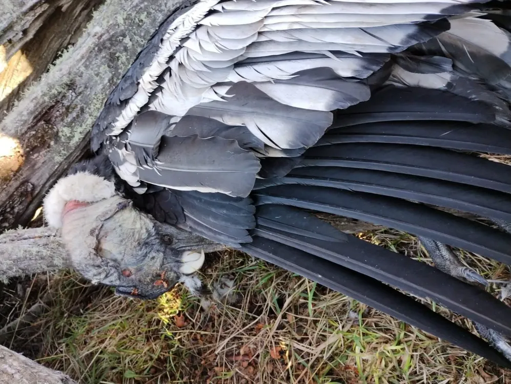 4723A74B-439E-4B07-BE24-C60CB90B73B6