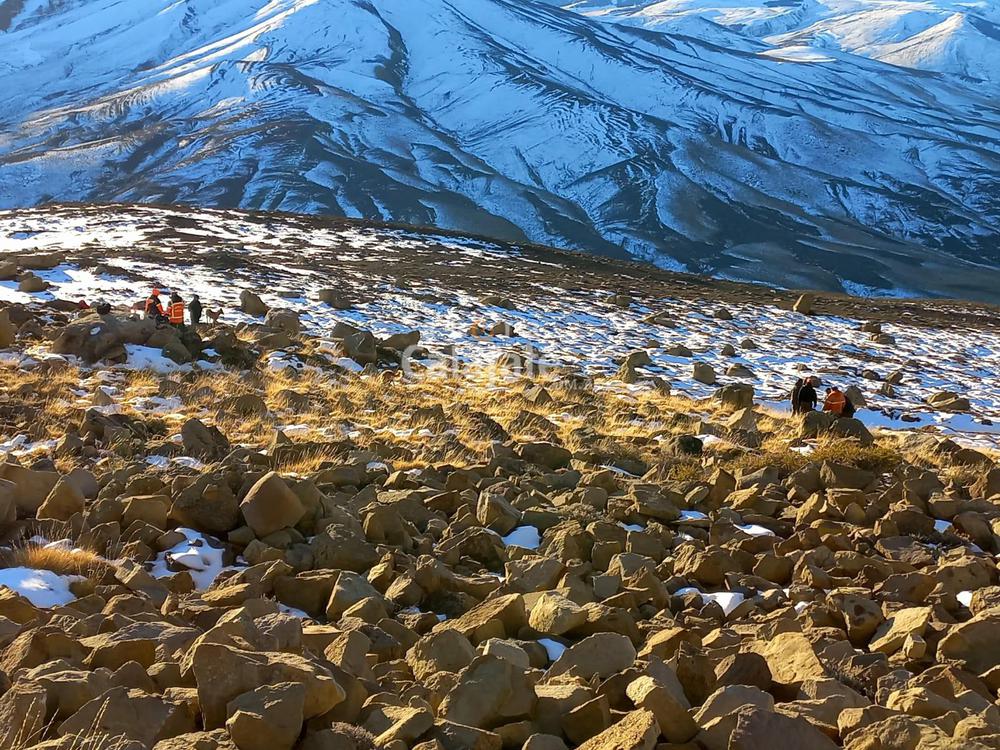 busqueda peon 0 [AUDIO FMD]