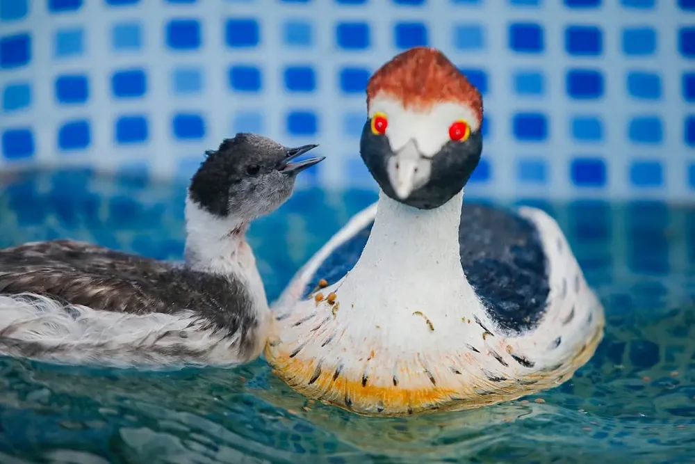 495357083_18065800358505372_7246166142520665991_n