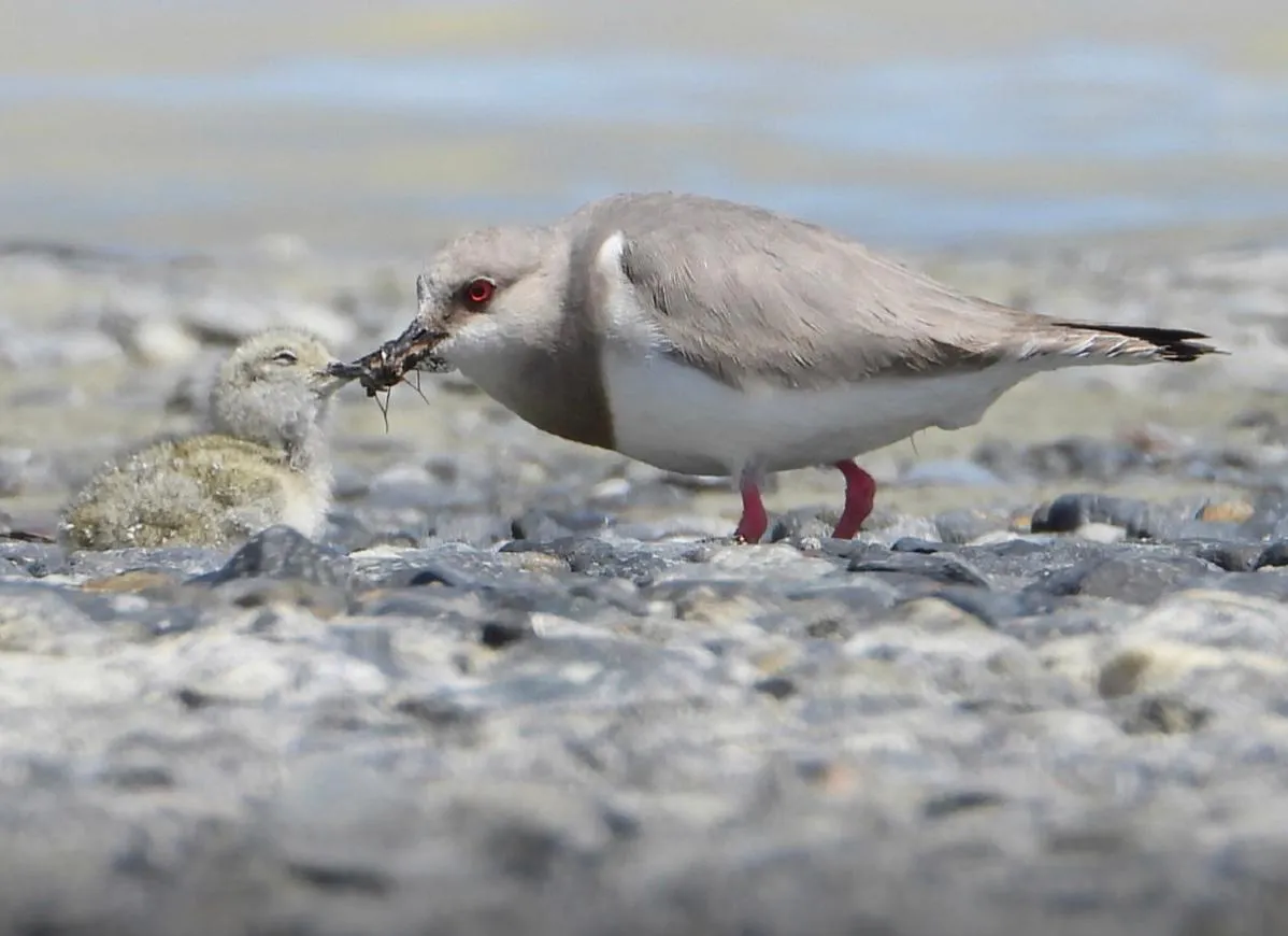 WhatsApp Image 2025-09-18 at 14.31.12