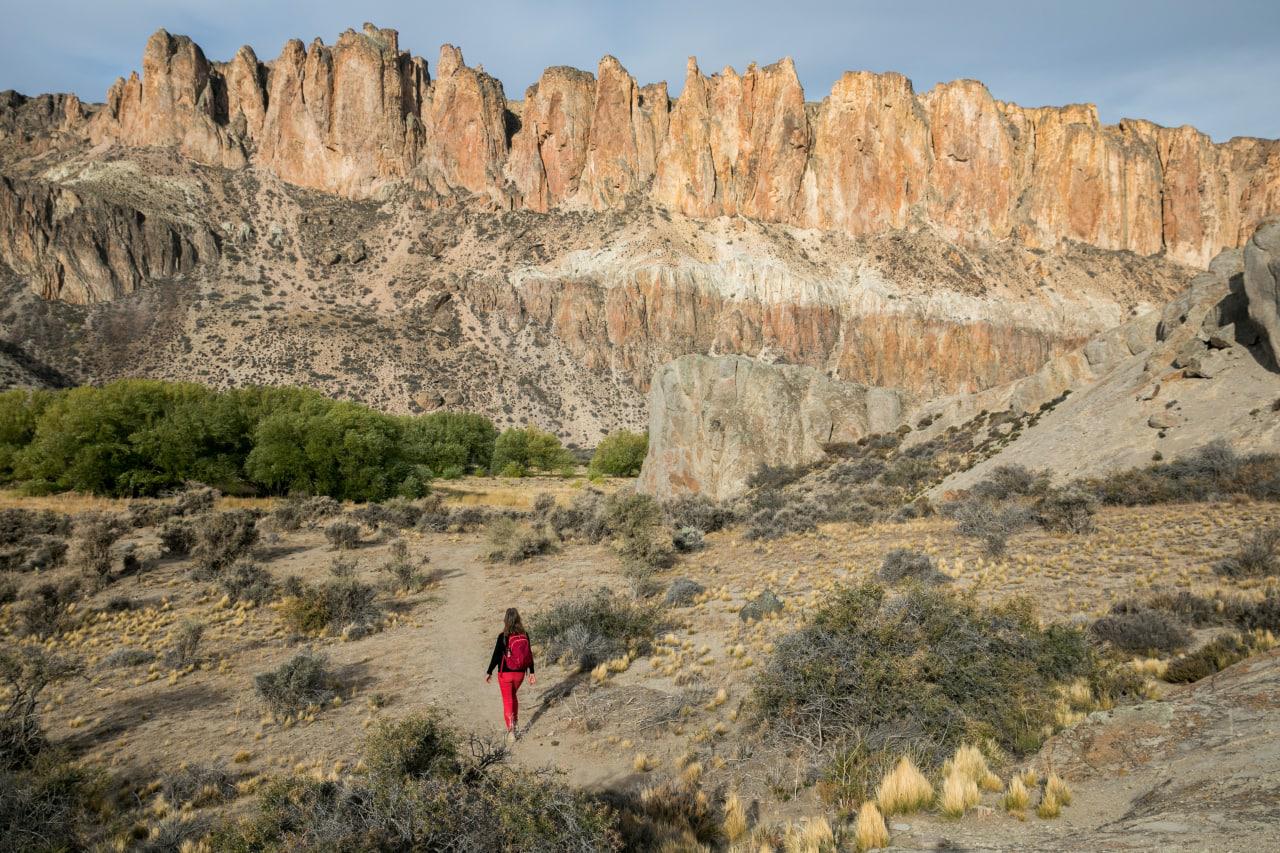 WhatsApp Image 2022-10-29 at 11.51.49