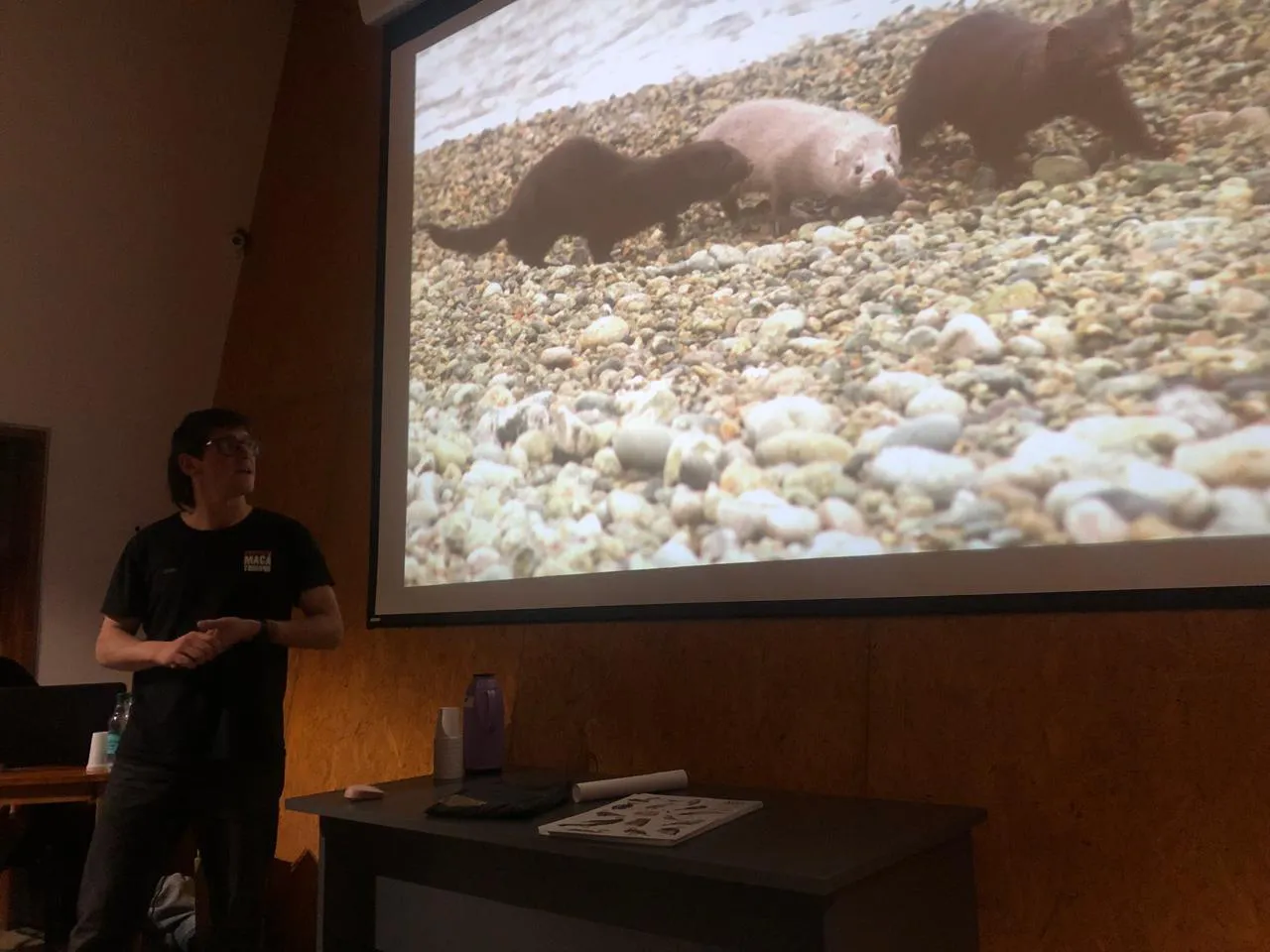 WhatsApp Image 2025-05-15 at 08.08.47