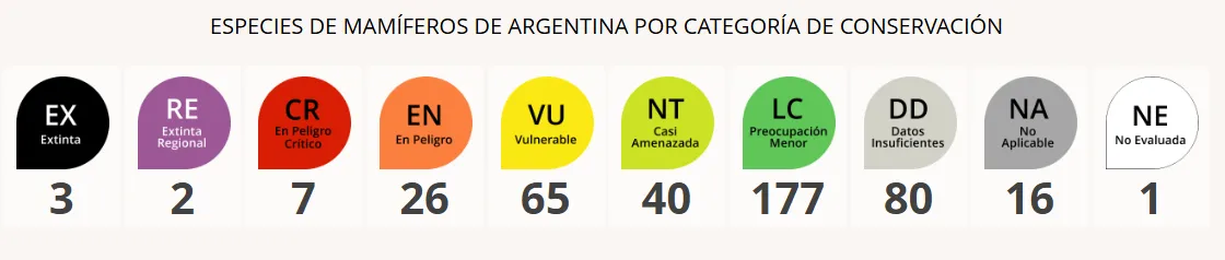 Captura de pantalla 2025-04-22 080656