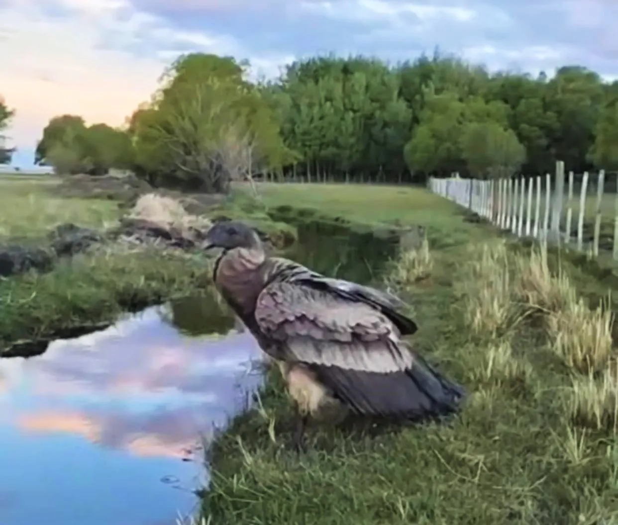 WhatsApp Image 2025-11-20 at 13.16.40