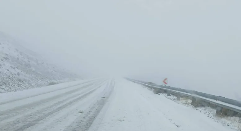 Captura de pantalla 2026-04-02 185048