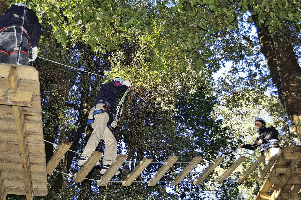 arborismo y canopy parque neltume~2