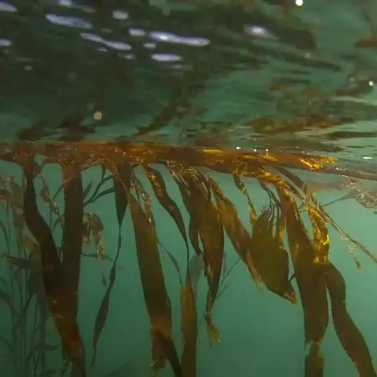 499835771_1160780412732807_7124830576244490517_n