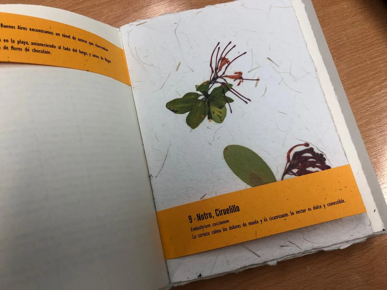 WhatsApp Image 2025-01-09 at 22.34.07(1)